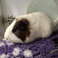 Photo of Mr Squiggles 