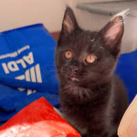 Photo of Dashi