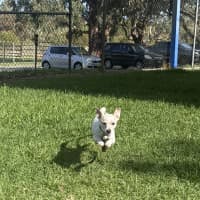 Photo of Coco