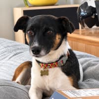 Photo of Millie