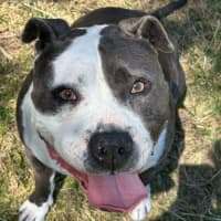 Photo of 🥊 Floyd 5607 🥊