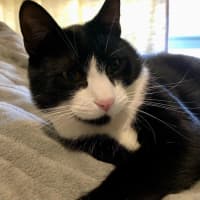 Photo of Jake & Jasper 💙