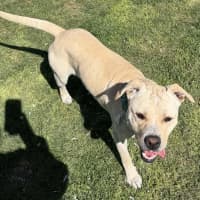 Photo of Astro
