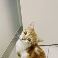 Photo of Jupiter