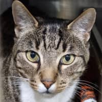 Photo of Maverick