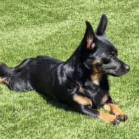 Photo of Henry! Loving, Happy Family Boy 