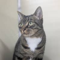 Photo of 🎮 Nippet 5903 🎮