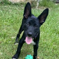 Photo of Wally