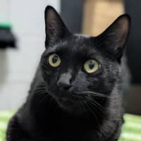 Photo of Friday