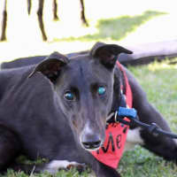Photo of Wayne