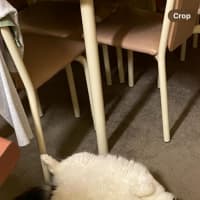 Photo of Richie Rich