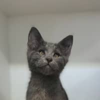 Photo of Wiggles