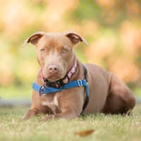 Photo of Enid