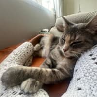 Photo of Valyria Emmie