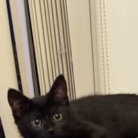 Photo of Mila