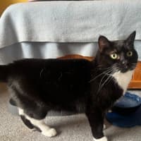 Photo of Sunny