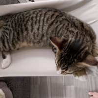 Photo of Finely