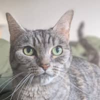 Photo of Lola 