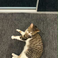 Photo of Mimi