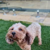 Photo of Maggie