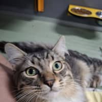 Photo of Peter