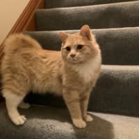 Photo of Ricardo Silvanus