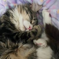 Photo of Winnie