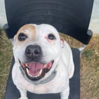 Photo of Molly (0976)