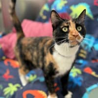 Photo of Nell (4428)