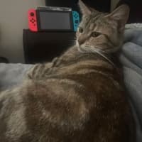Photo of Angel