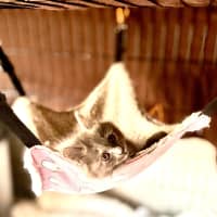 Photo of Binx Clarke