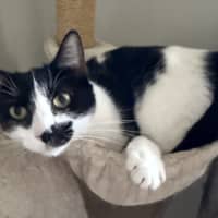 Photo of Hank & Halle