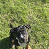 Photo of 🧭 Freddie 6359 🧭