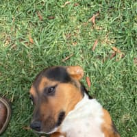 Photo of Bagel