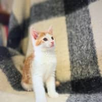 Photo of Fred
