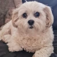 Photo of Molly Quinnell