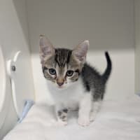Photo of Clawdia