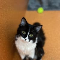 Photo of Winnie 