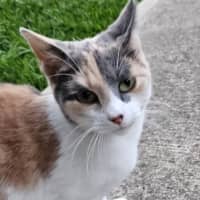 Photo of Princess
