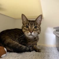 Photo of 🌨️ Misty 6956 🌨️