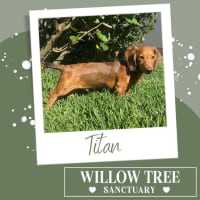 Photo of Titan
