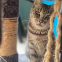 Photo of Cleo