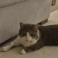 Photo of Tom