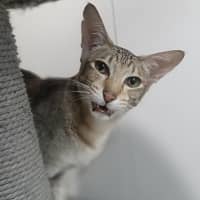 Photo of Elsie