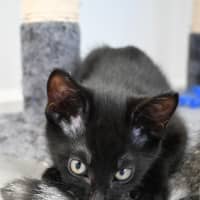 Photo of Eleanor