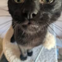Photo of Buster