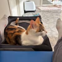 Photo of Annabelle