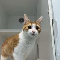 Photo of Molly