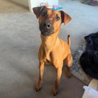 Photo of Missy Peggotty