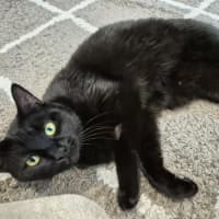 Photo of Honey